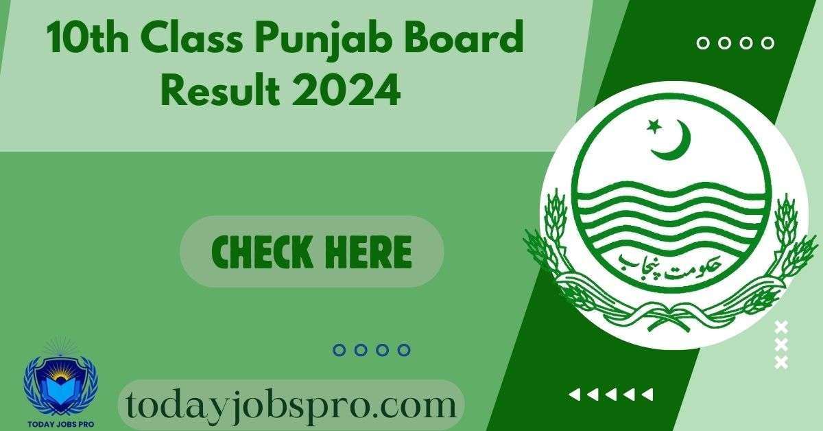 10th Class Punjab Board Result 2024 Check By Name/Roll No