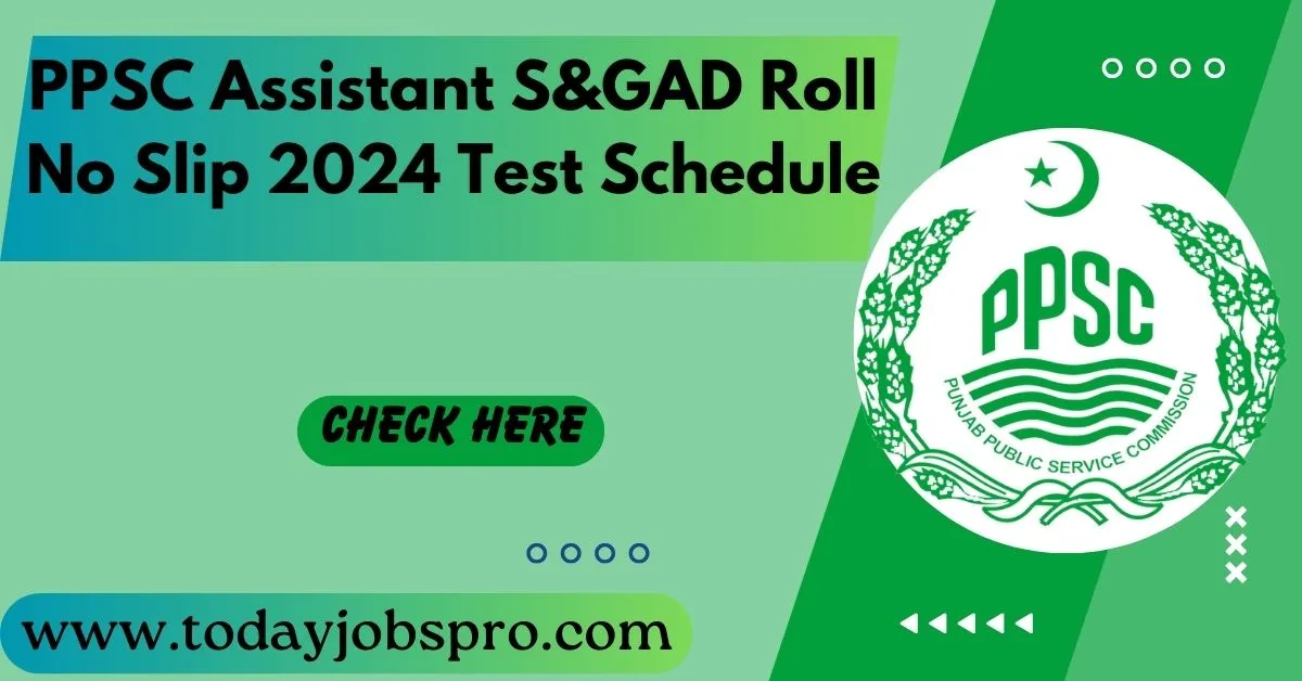 PPSC Assistant S&GAD Roll No Slip 2024 Test & Interview Schedule