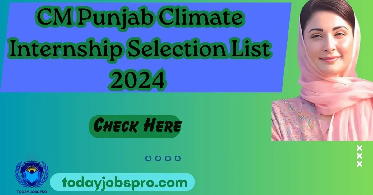 CM Punjab Climate Internship Selection List 2024 Merit List