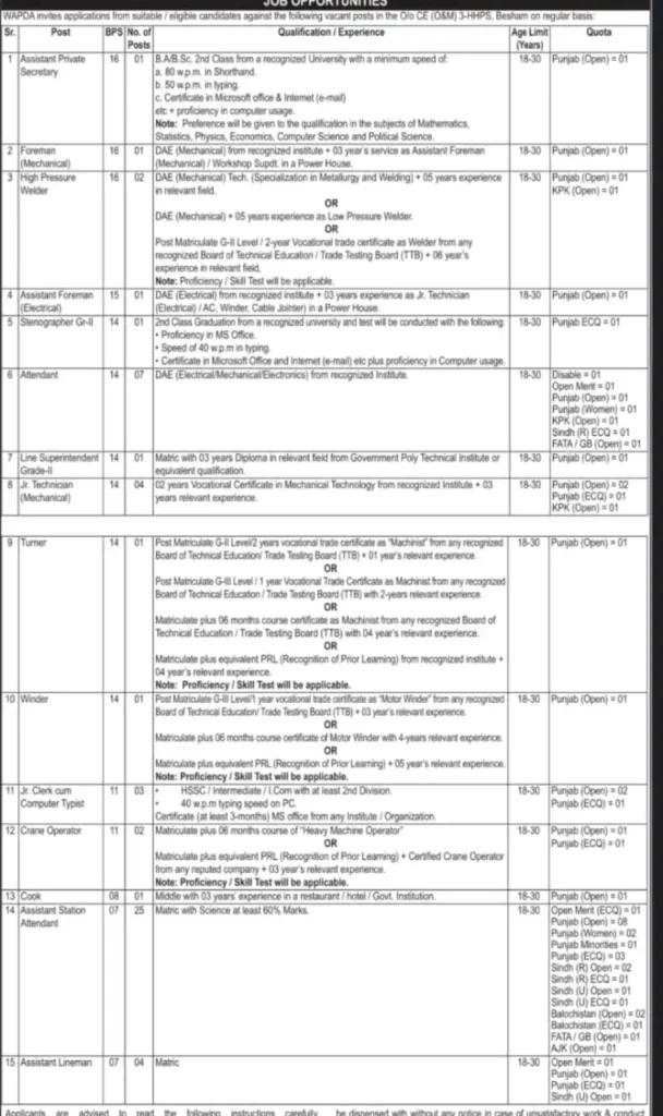 WAPDA Jobs Advertisement 2024